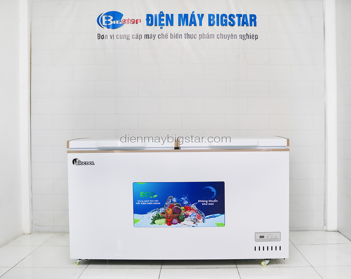 Tủ đông nằm 550L 1m4 BigCool SS-550L 25 tu dong nam ss 550 1