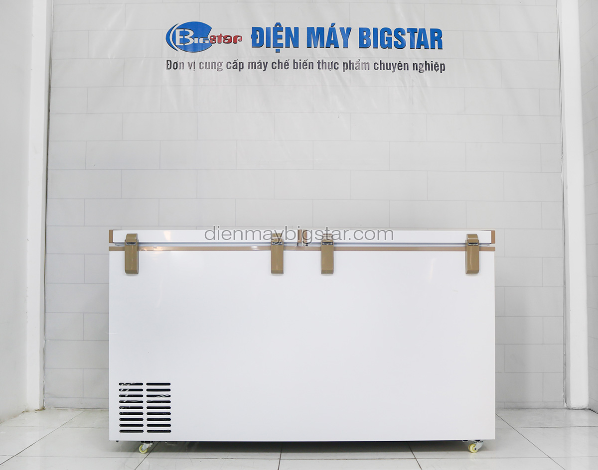 Tủ đông nằm 550L 1m4 BigCool SS-550L 26 tu dong nam ss 550 5