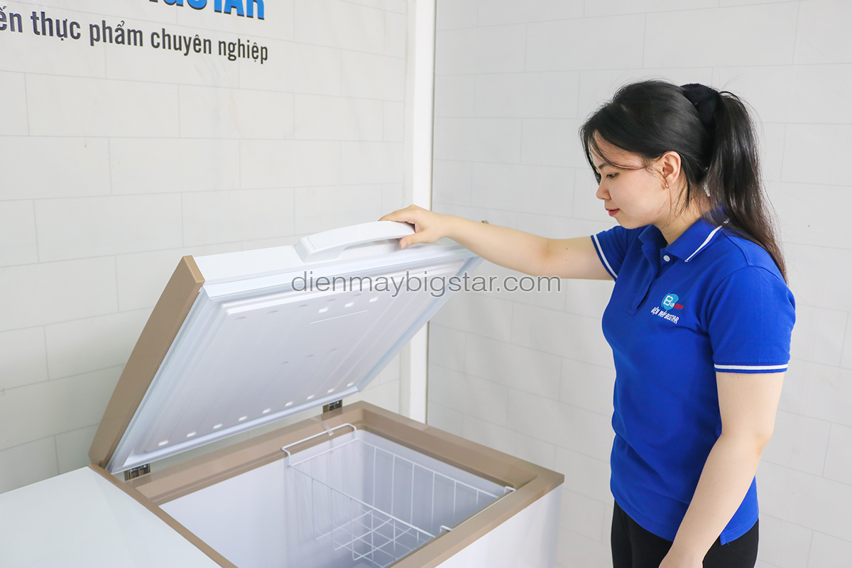Tủ đông nằm 550L 1m4 BigCool SS-550L 23 tu dong nam ss 550 7