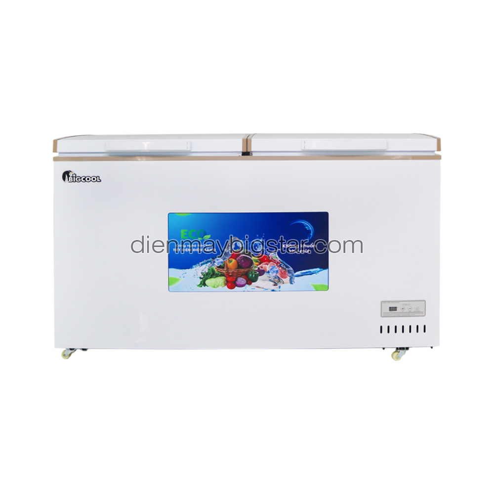 Tủ đông nằm 550L 1m4 BigCool SS-550L - Thông số kỹ thuật