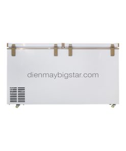 Tủ đông nằm 550L 1m4 BigCool SS-550L 17 tu dong nam ss 550 12