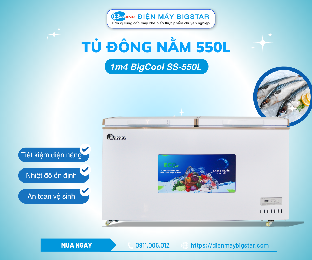 Tủ đông nằm 550L 1m4 BigCool SS-550L 18 tu dong nam ss 550 banner