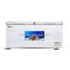 Tủ đông nằm 900L 1m9 BigCool SS-900L