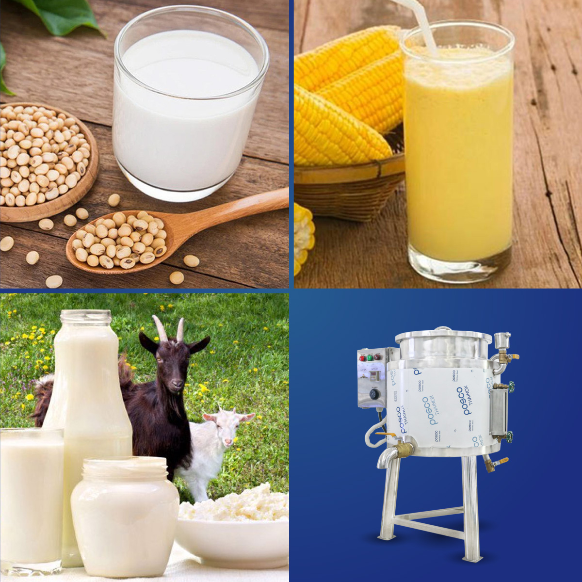 noi nau sua dau nanh 50l bigstar tr