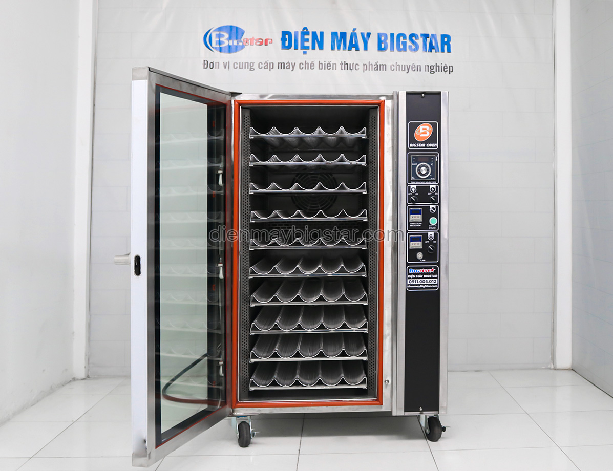 lò nướng đối lưu