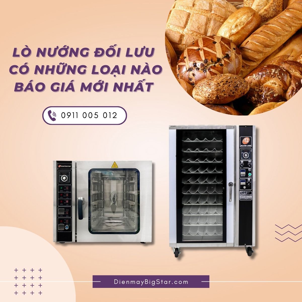 Lò nướng đối lưu