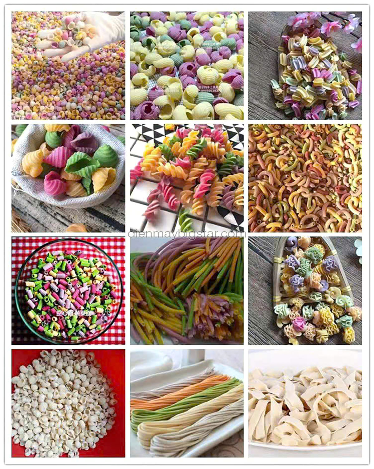 Máy làm nui đa năng BK100