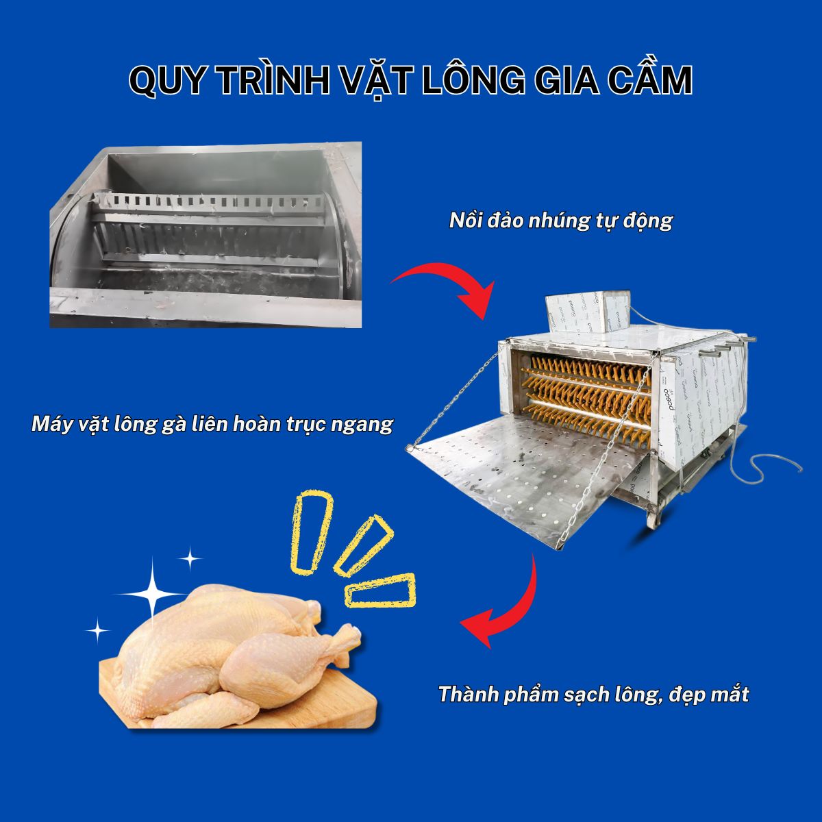 Nồi đảo và nhúng gà vịt tự động