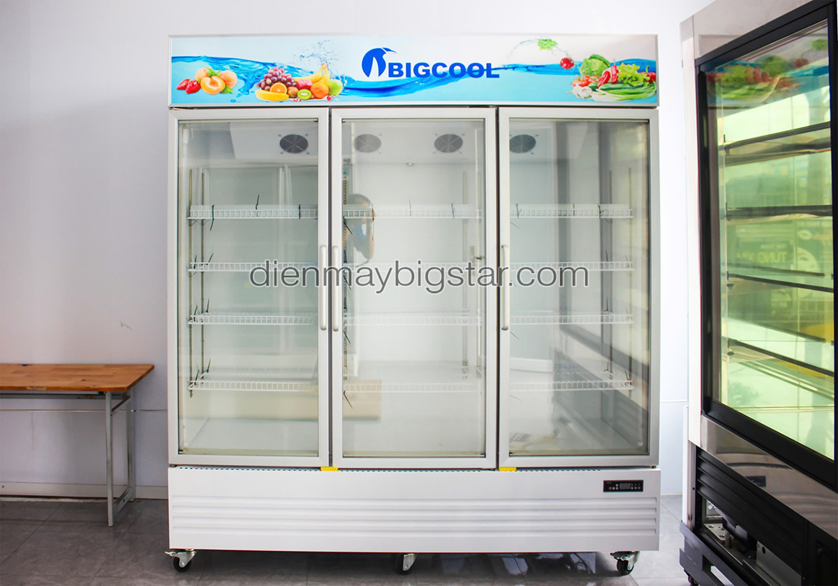 don hang tu mat 3 canh quat lanh say kinh PL 1800F giao tai Dak Lak