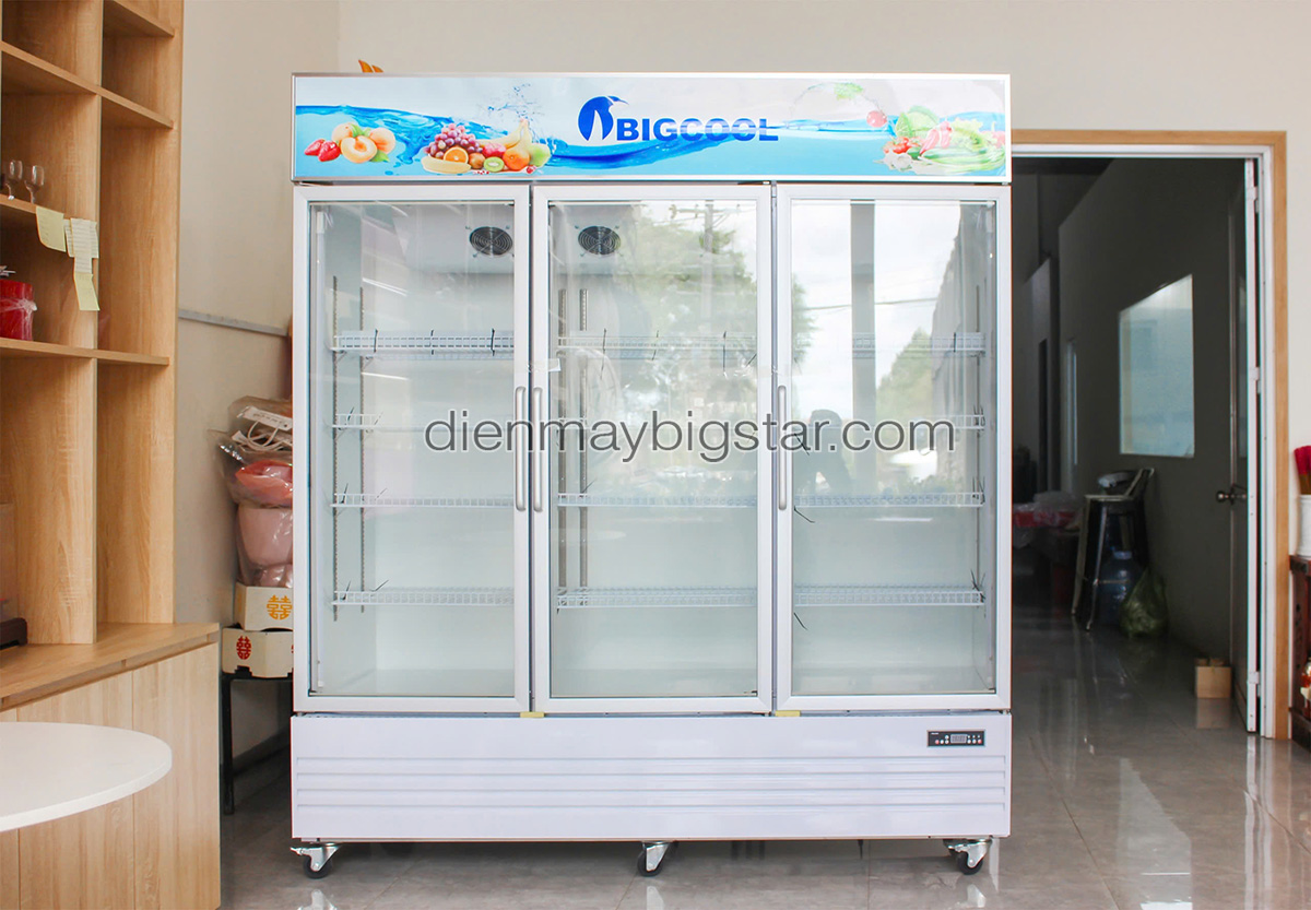 don hang tu mat 3 canh quat lanh say kinh PL 1800F giao tai Dak Lak 2