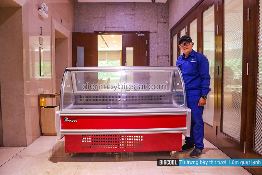 Gợi ý 6 mẫu tủ mát trưng bày tối ưu công dụng nhất hiện nay 25 image 121