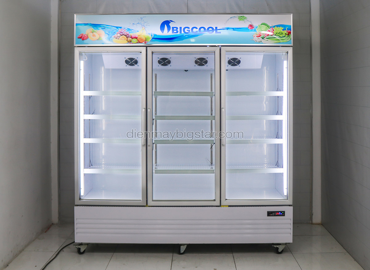 Gợi ý 6 mẫu tủ mát trưng bày tối ưu công dụng nhất hiện nay 33 image 123