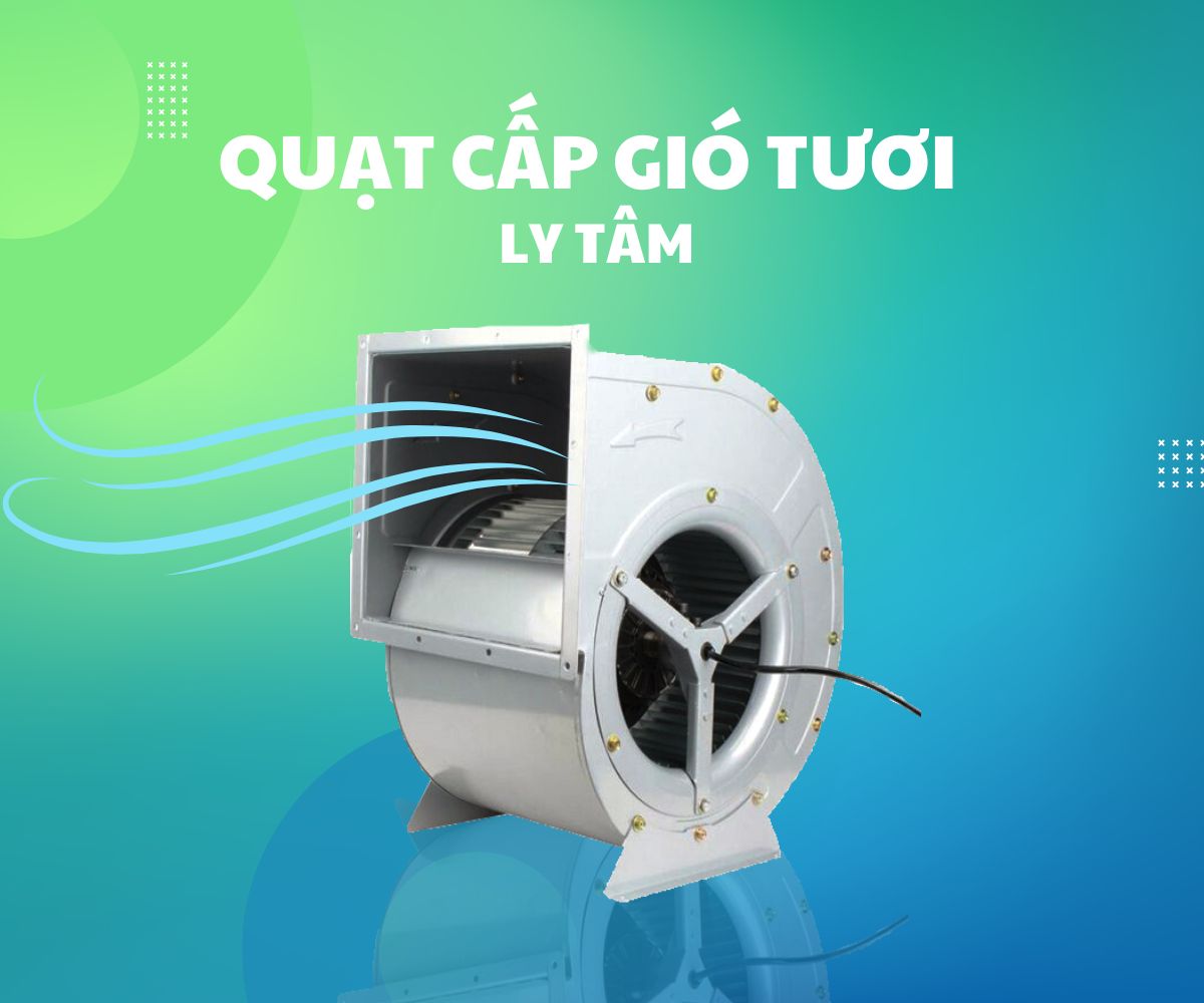 quat cap gio tuoi ly tam
