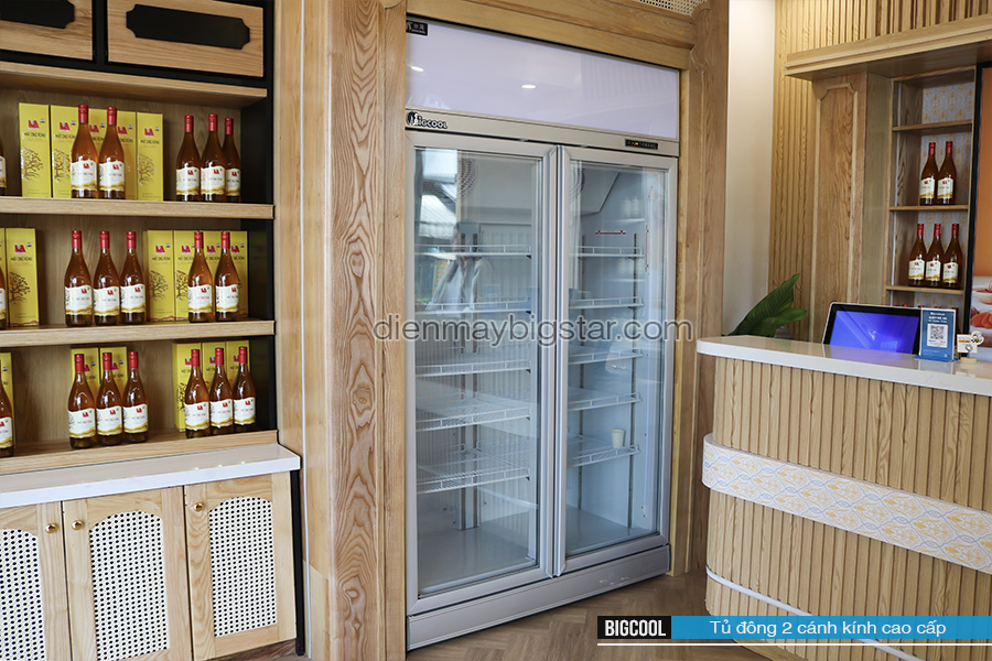 Review 5 mẫu tủ đông không đóng tuyết tốt nhất hiện nay 13 image 139
