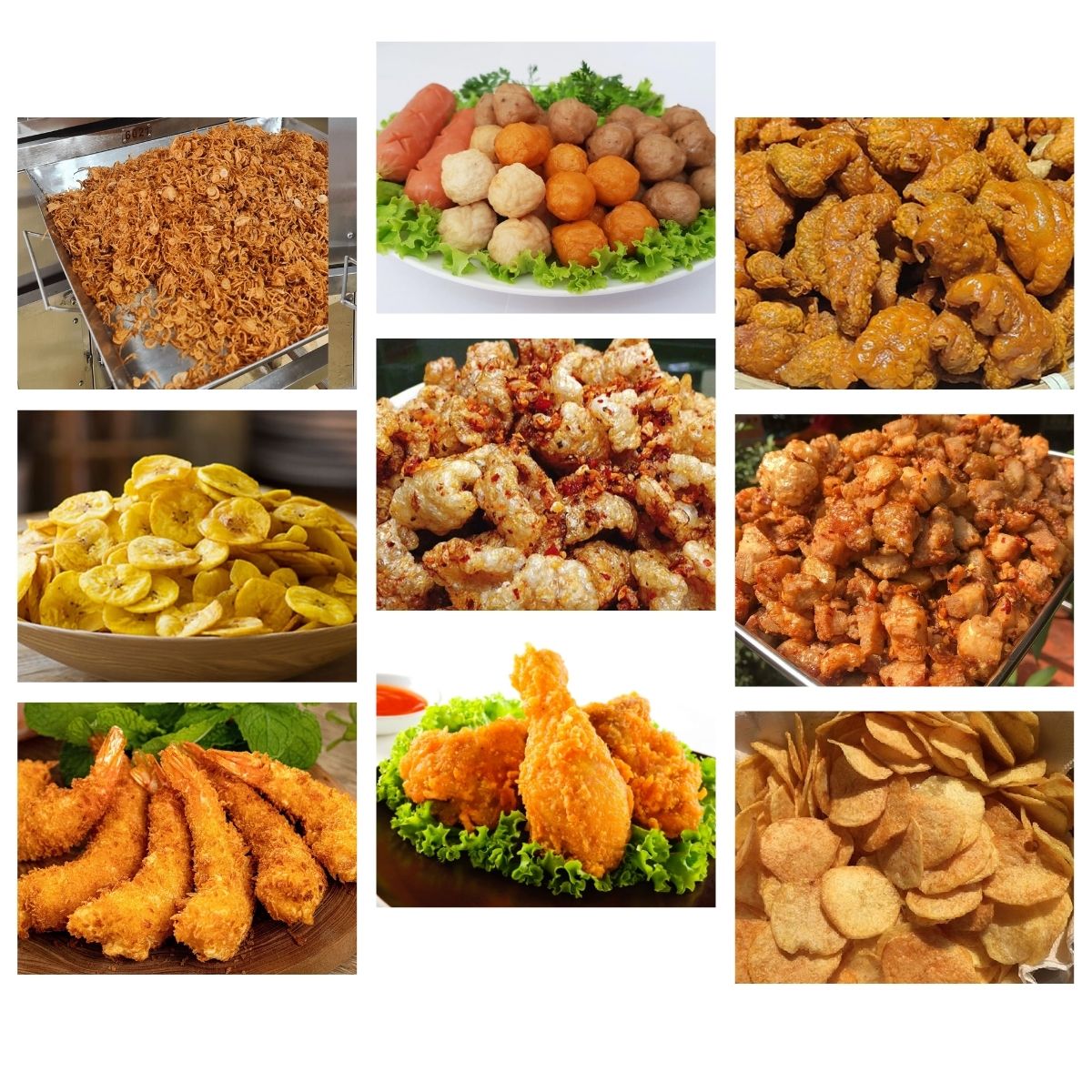 Máy chiên tự động có cánh đảo BFC-800