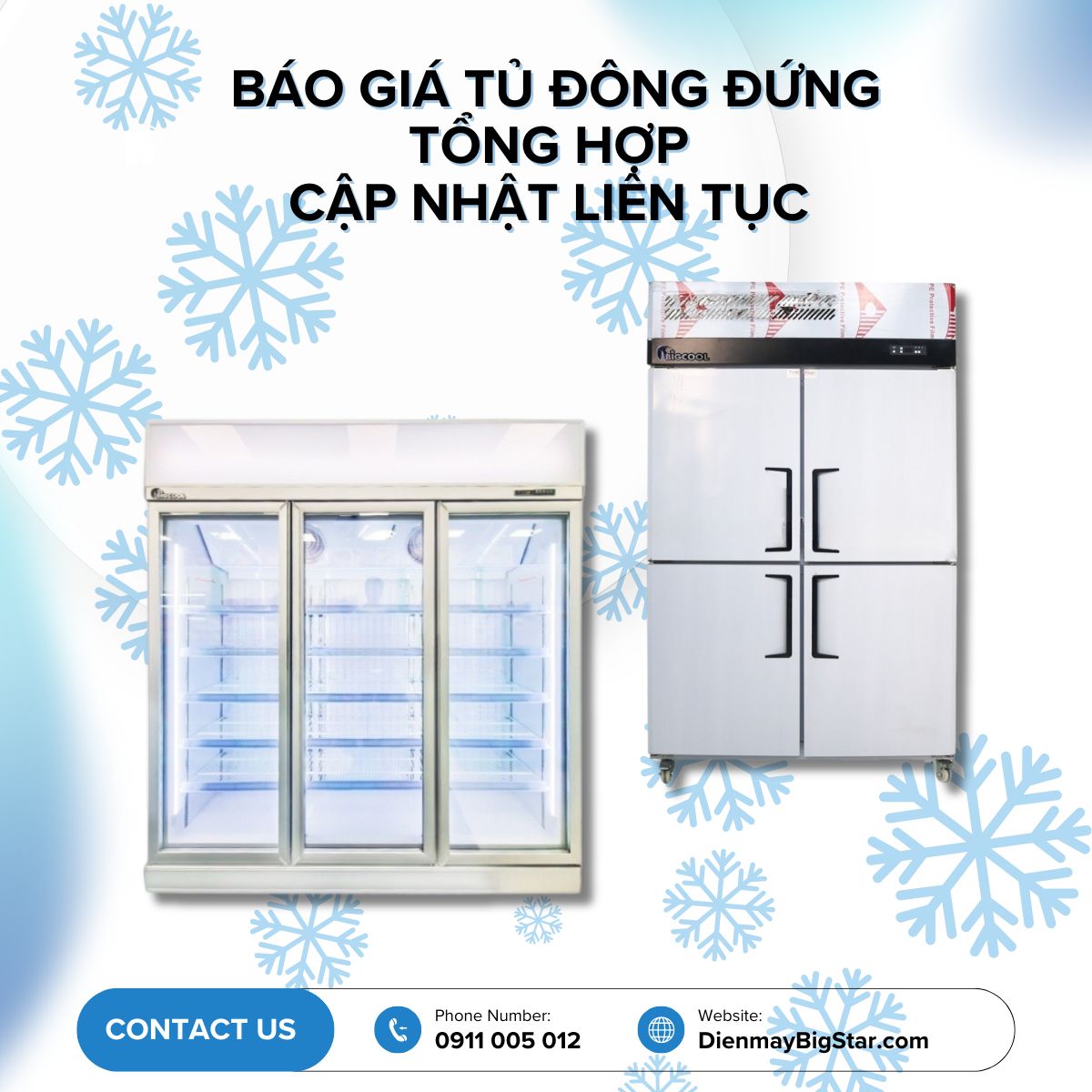 tủ đông đứng