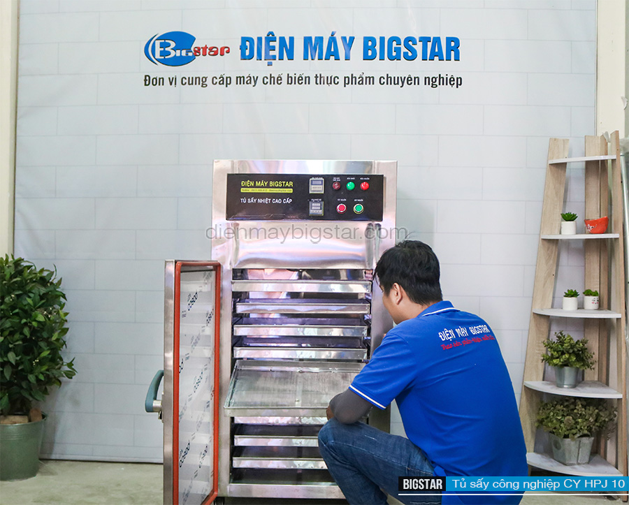 máy sấy trái cây công nghiệp thực phẩm