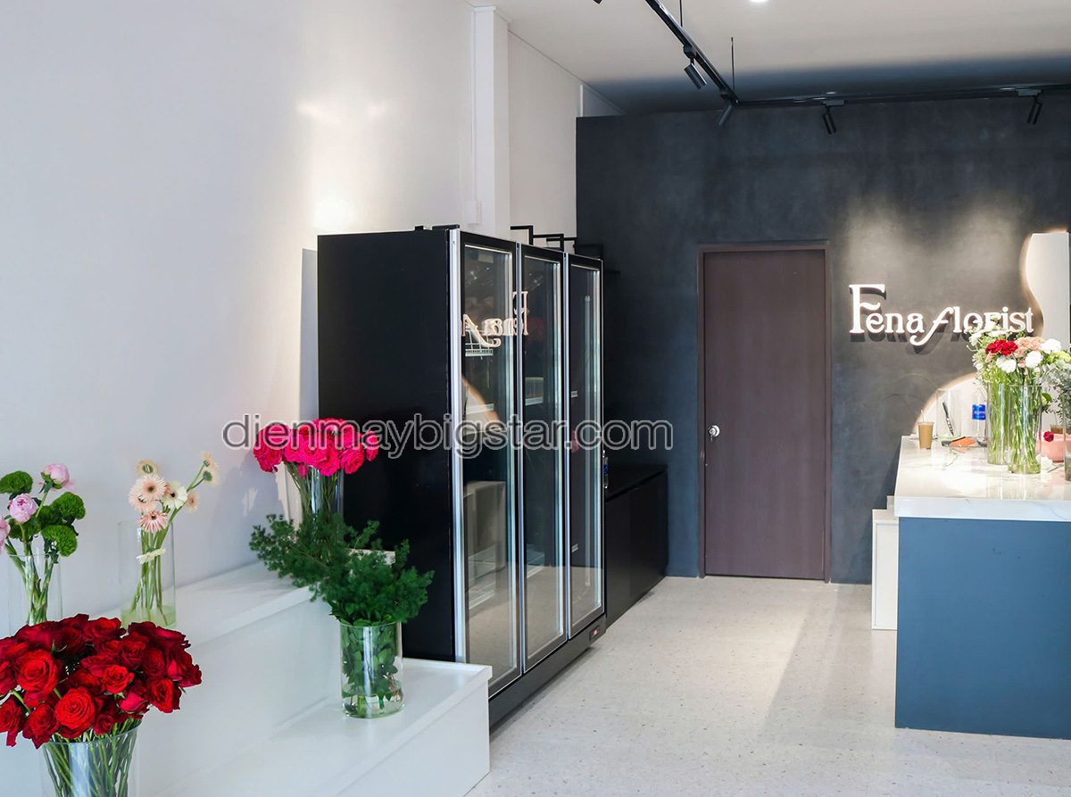 don hang tu mat 3 canh quat lanh say kinh Luxury LRY 1800 giao tai quan tan binh 1