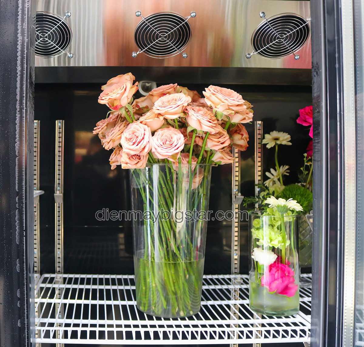 don hang tu mat 3 canh quat lanh say kinh Luxury LRY 1800 giao tai quan tan binh 2