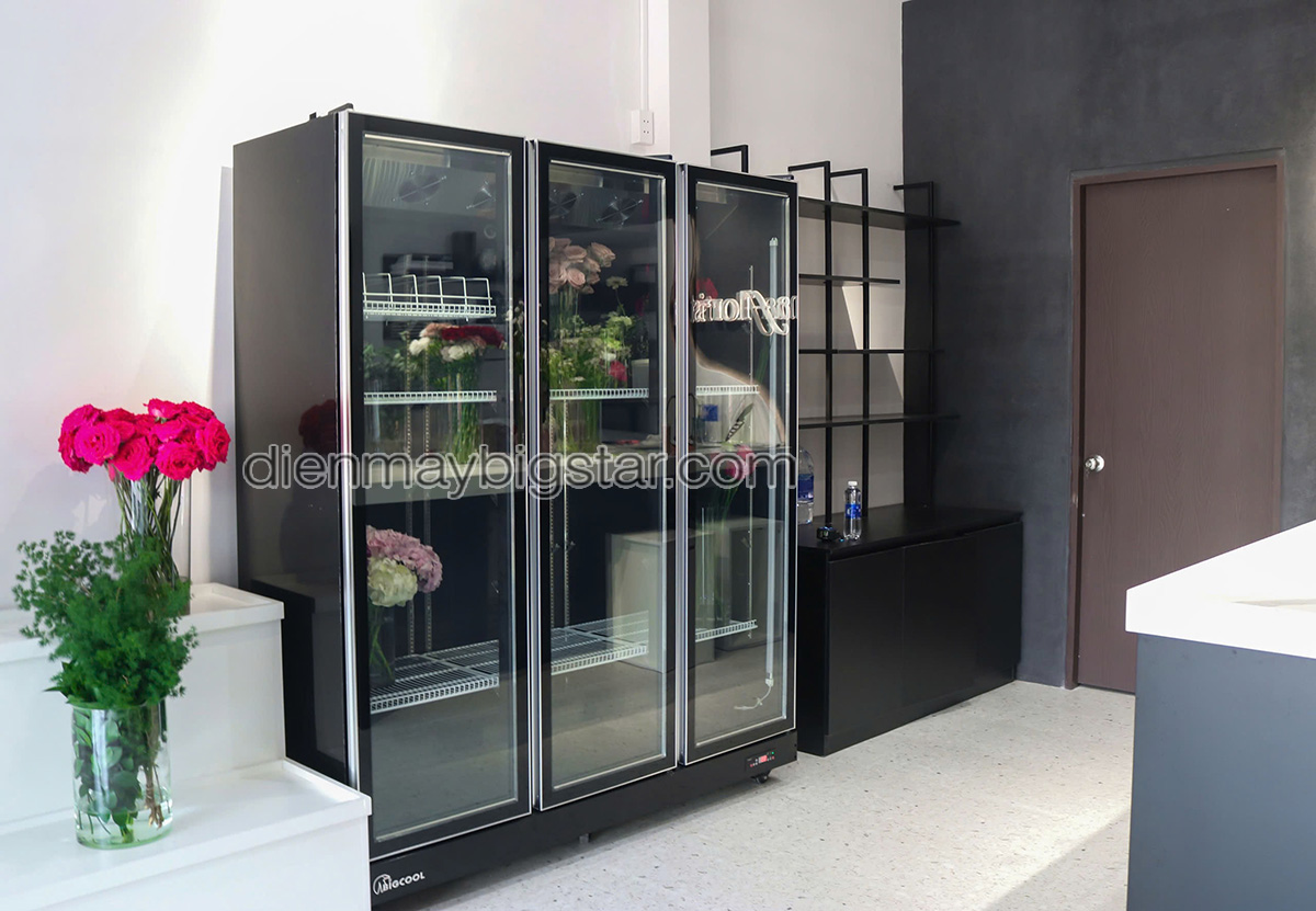 don hang tu mat 3 canh quat lanh say kinh Luxury LRY 1800 giao tai quan tan binh 3