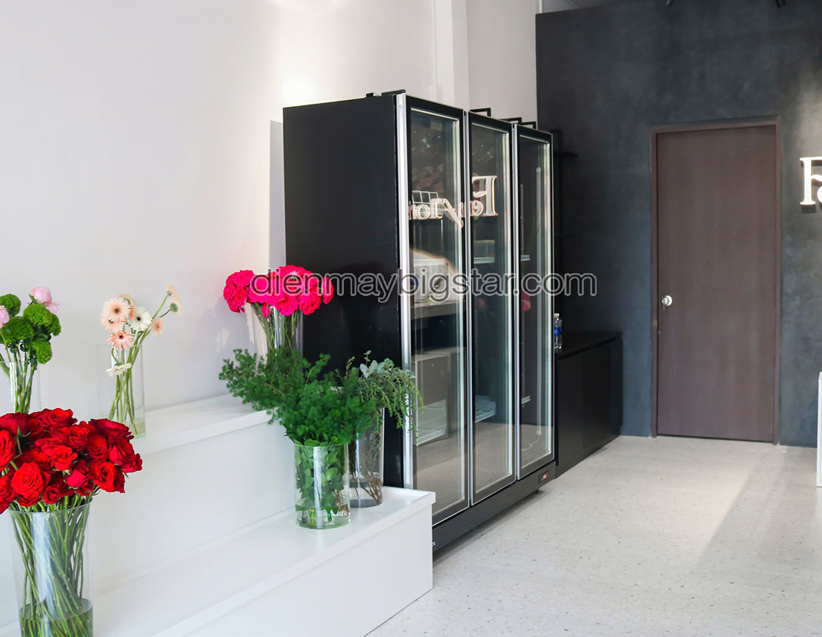 don hang tu mat 3 canh quat lanh say kinh Luxury LRY 1800 giao tai quan tan binh 4