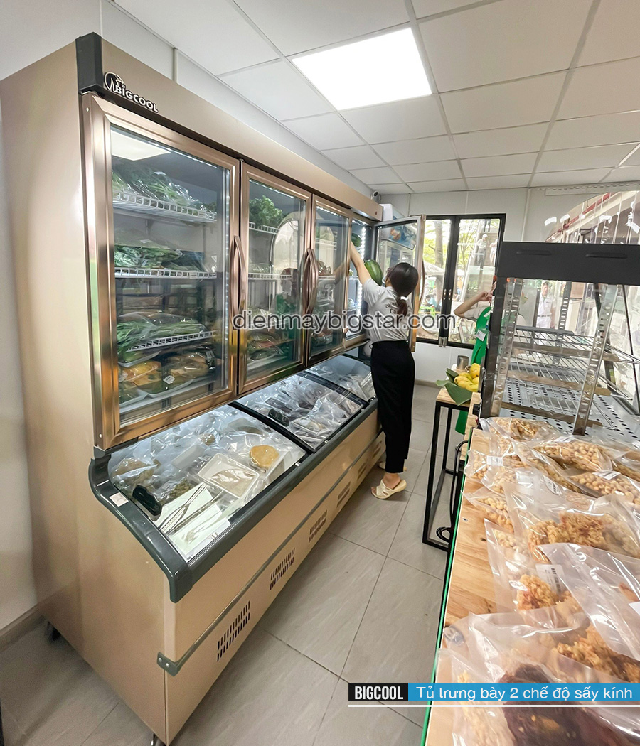 tủ đông trưng bày mặt kính