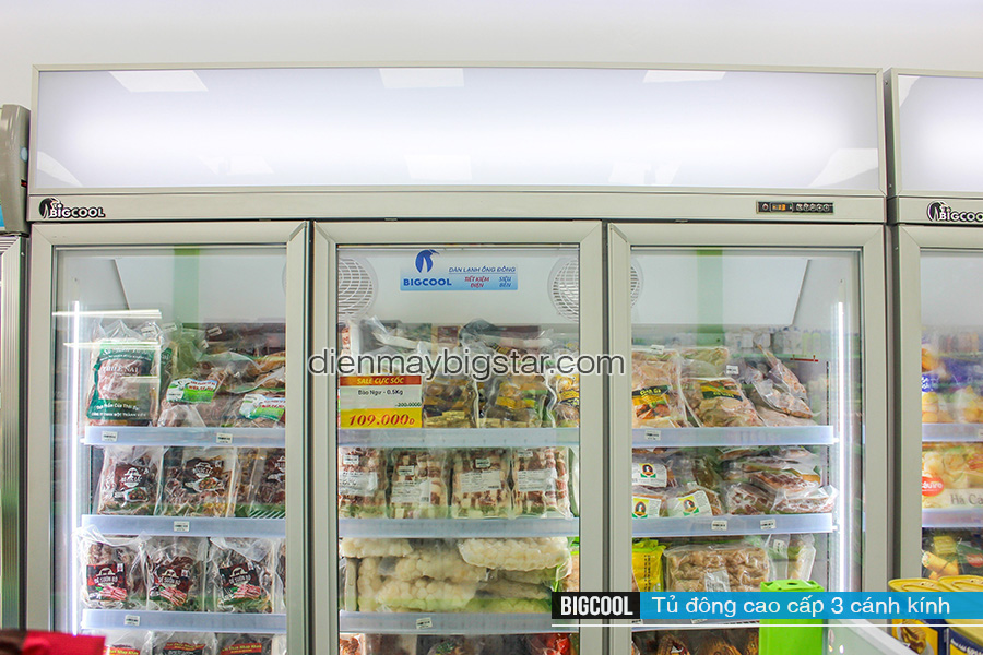 tủ đông trưng bày mặt kính