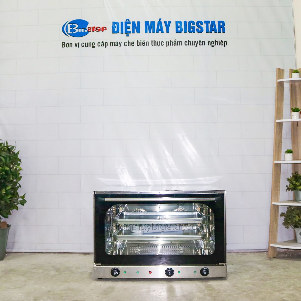 Lò nướng bánh mì đối lưu 4 khay