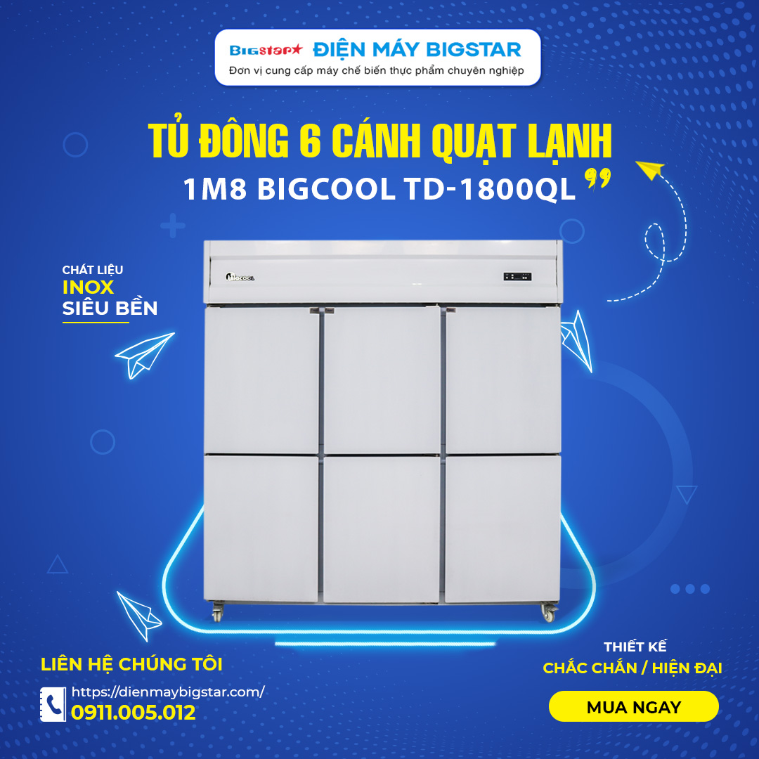 Tủ đông 6 cánh quạt lạnh 1m8 BigCool TD-1800QL
