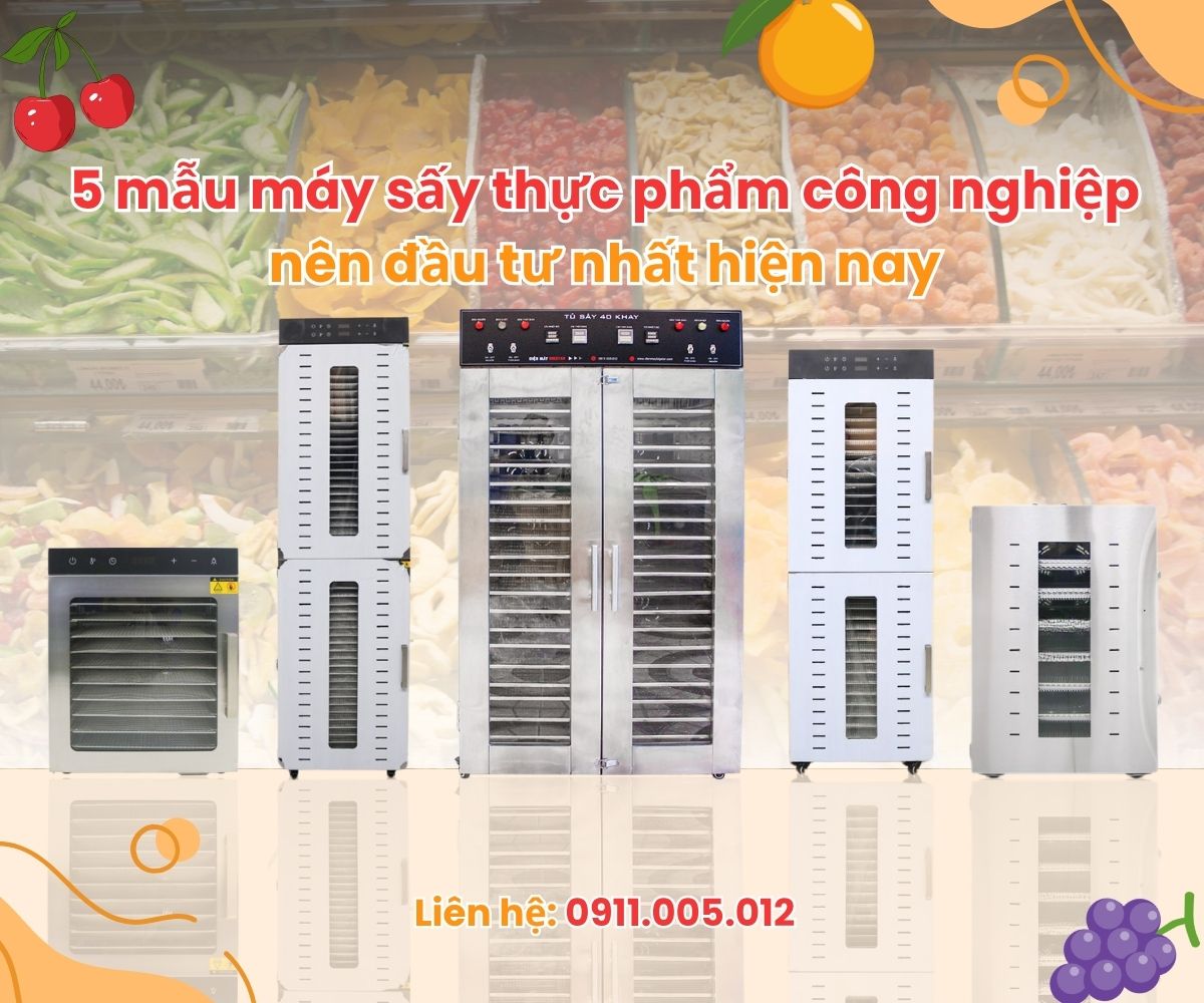 5 mẫu máy sấy thực phẩm công nghiệp nên đầu tư nhất hiện nay
