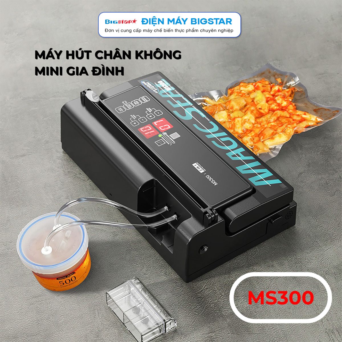 Máy hút chân không gia đình MS-300