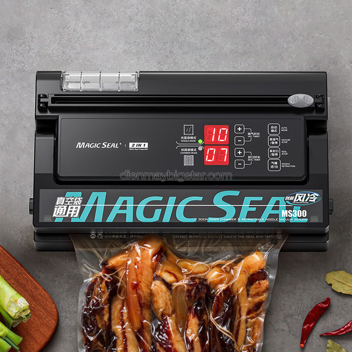 Máy hút chân không gia đình MS-300