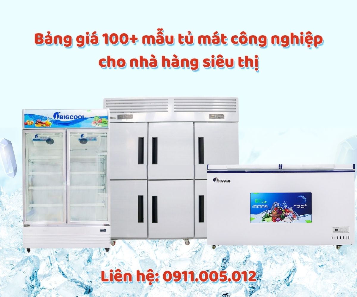 Bảng giá 100+ mẫu tủ mát công nghiệp cho nhà hàng siêu thị