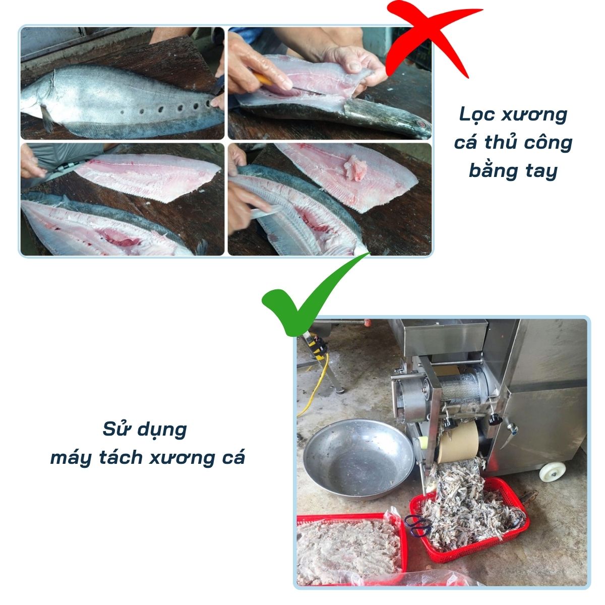 máy tách xương cá