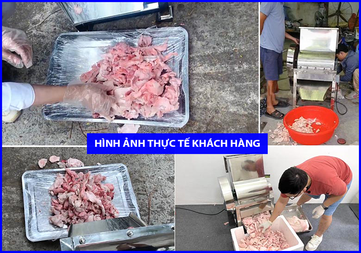 Máy chặt thịt chặt mỡ đông lạnh 16 may chat thit chat mo dong lanh 7