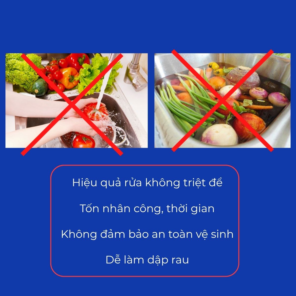 máy rửa sục rau củ quả