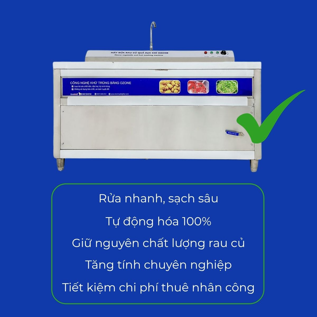 máy rửa sục rau củ quả