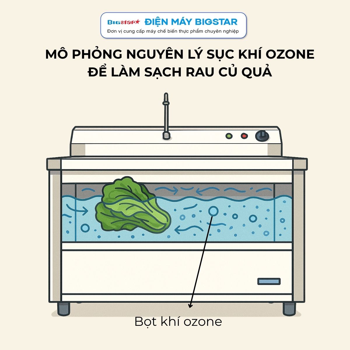 máy rửa sục rau củ quả