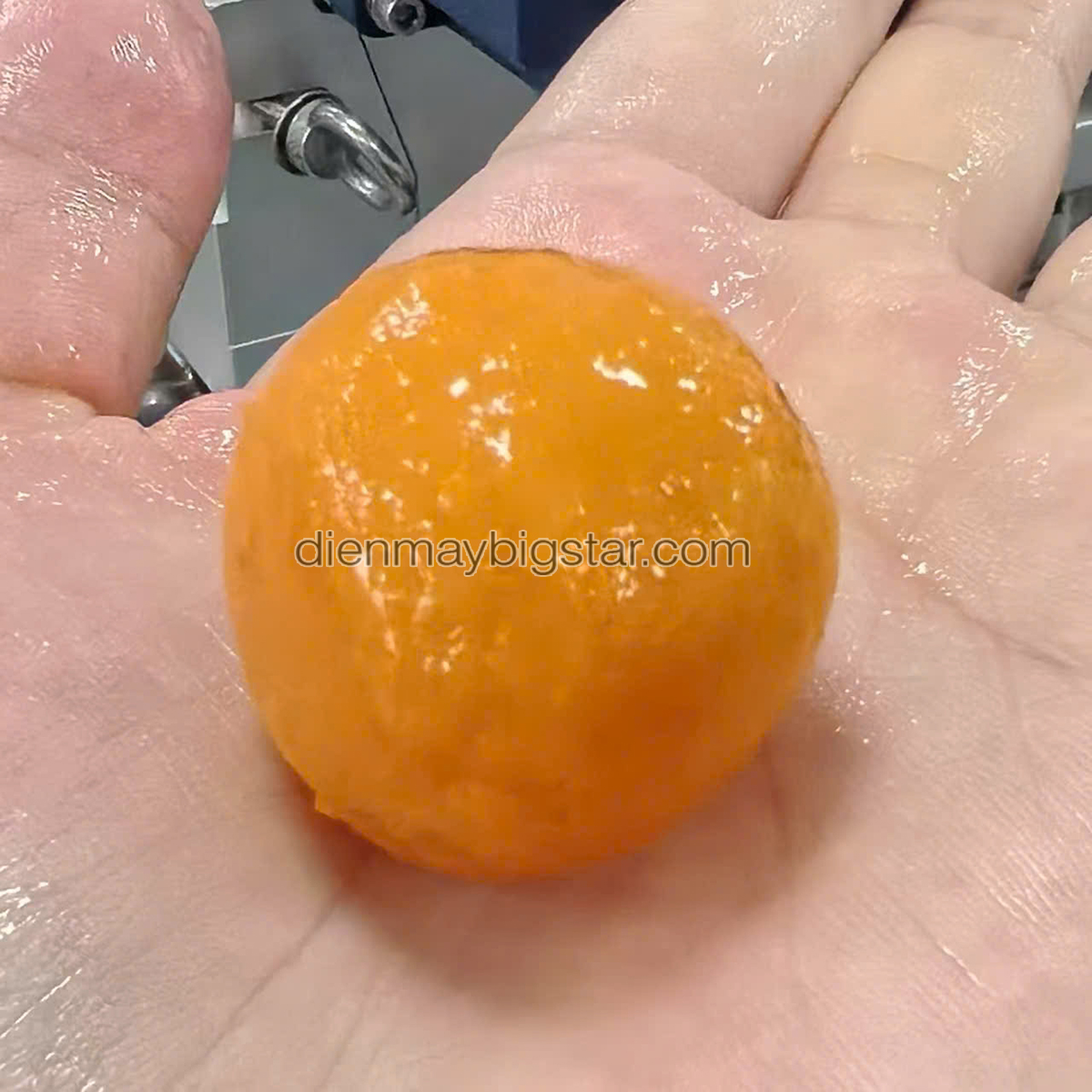 may vo vien hat tran chau cong nghiep 2025 1