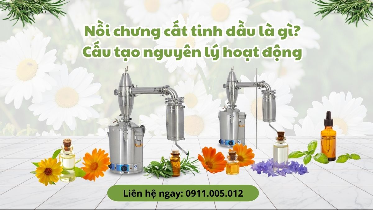 noi chung cat tinh dau la gi cau tao