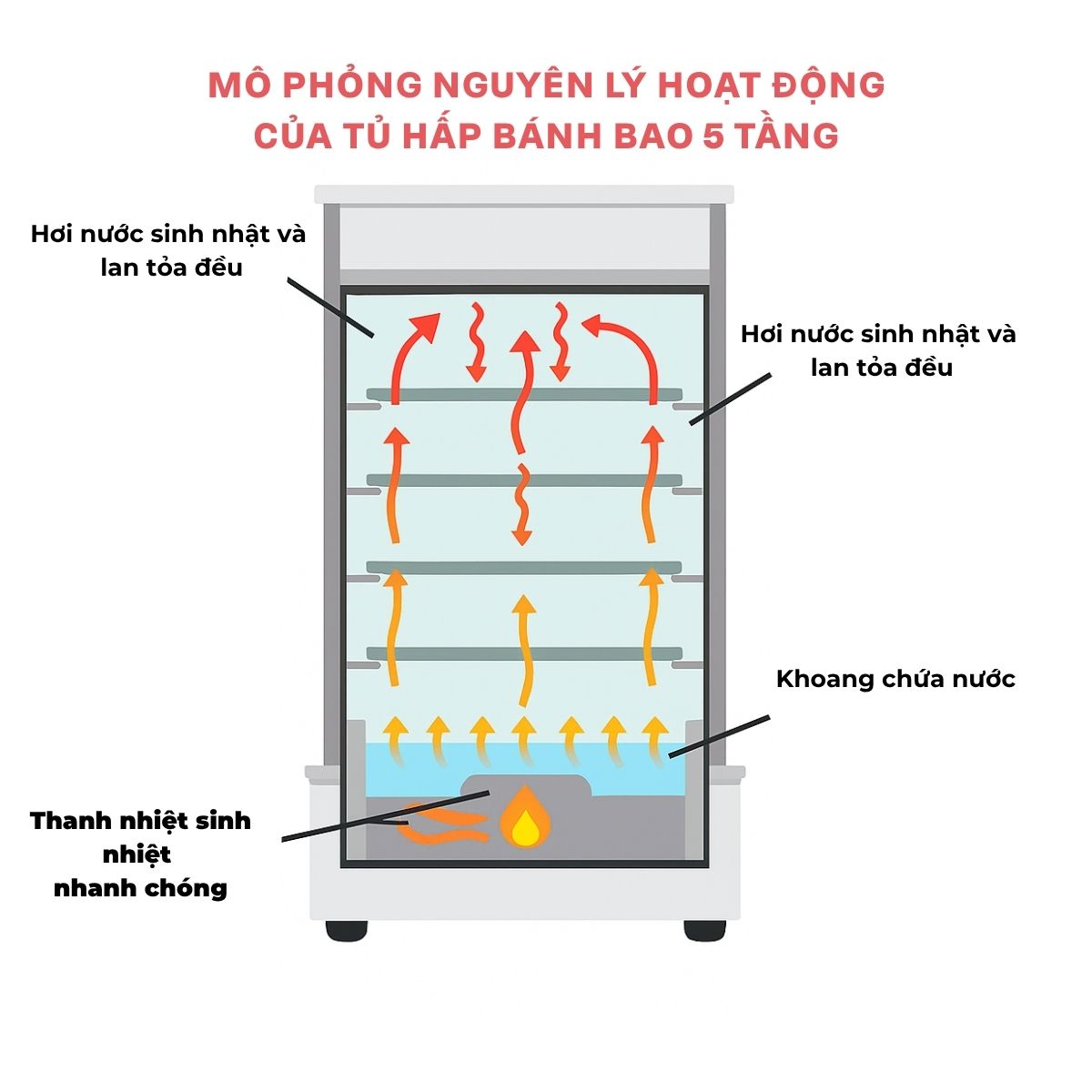 Tủ hấp bánh bao 5 tầng 21 tu hap banh bao 5 tang 1