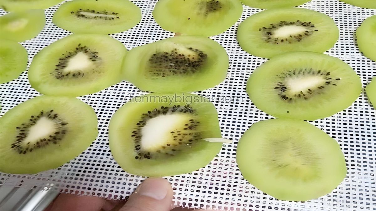 Linh kiện vật tư máy sấy