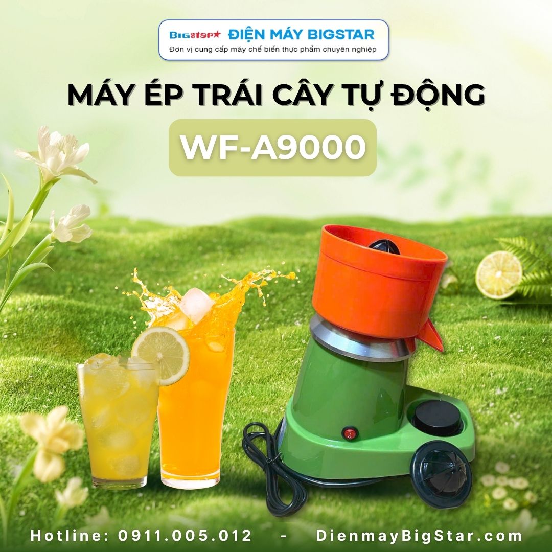 máy ép trái cây tự động WF-A9000