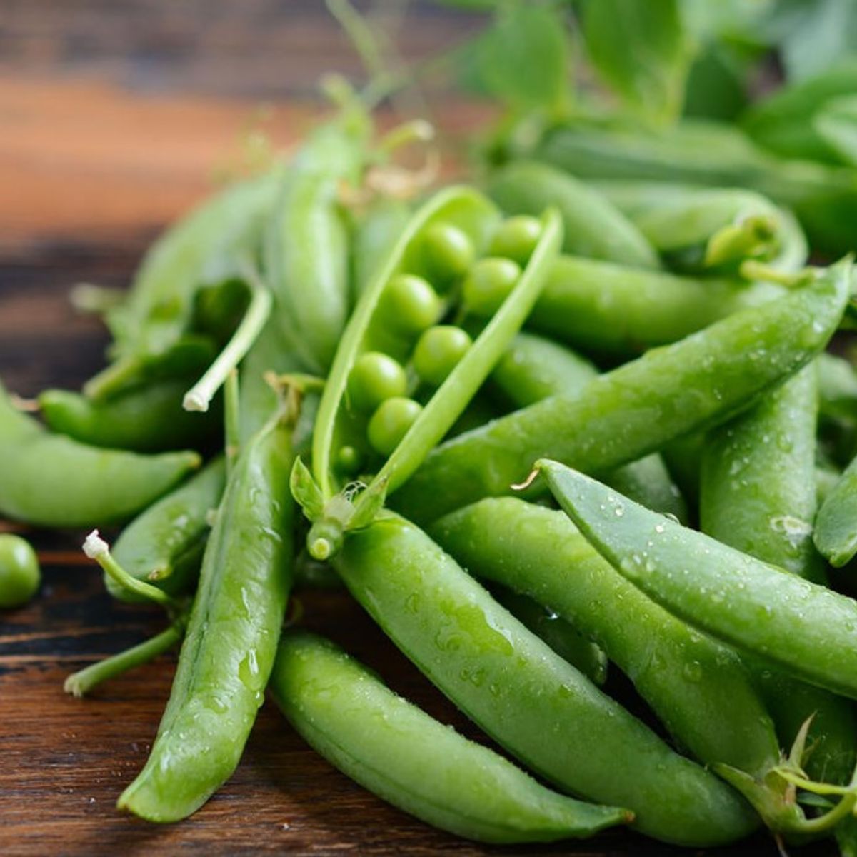 may cat bo soi dau ha lan cong nghiep 1