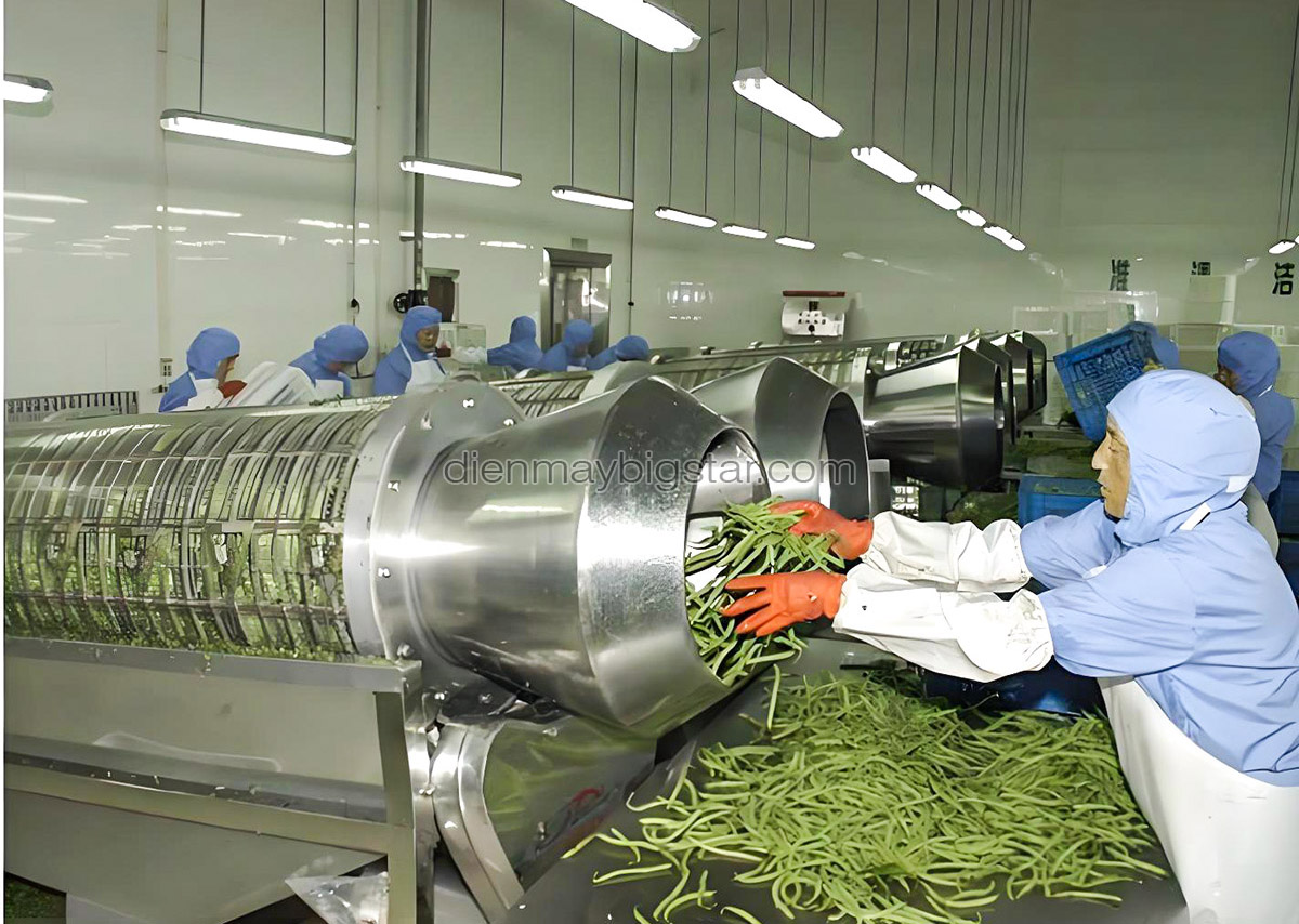 may cat bo soi dau ha lan cong nghiep 5