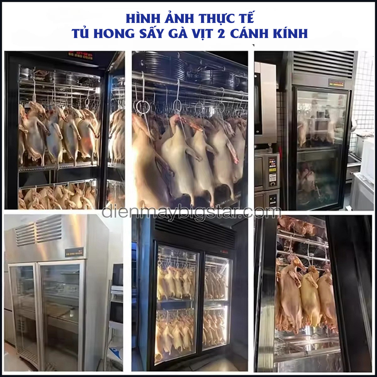 tu say ga vit 2 canh kinh 7