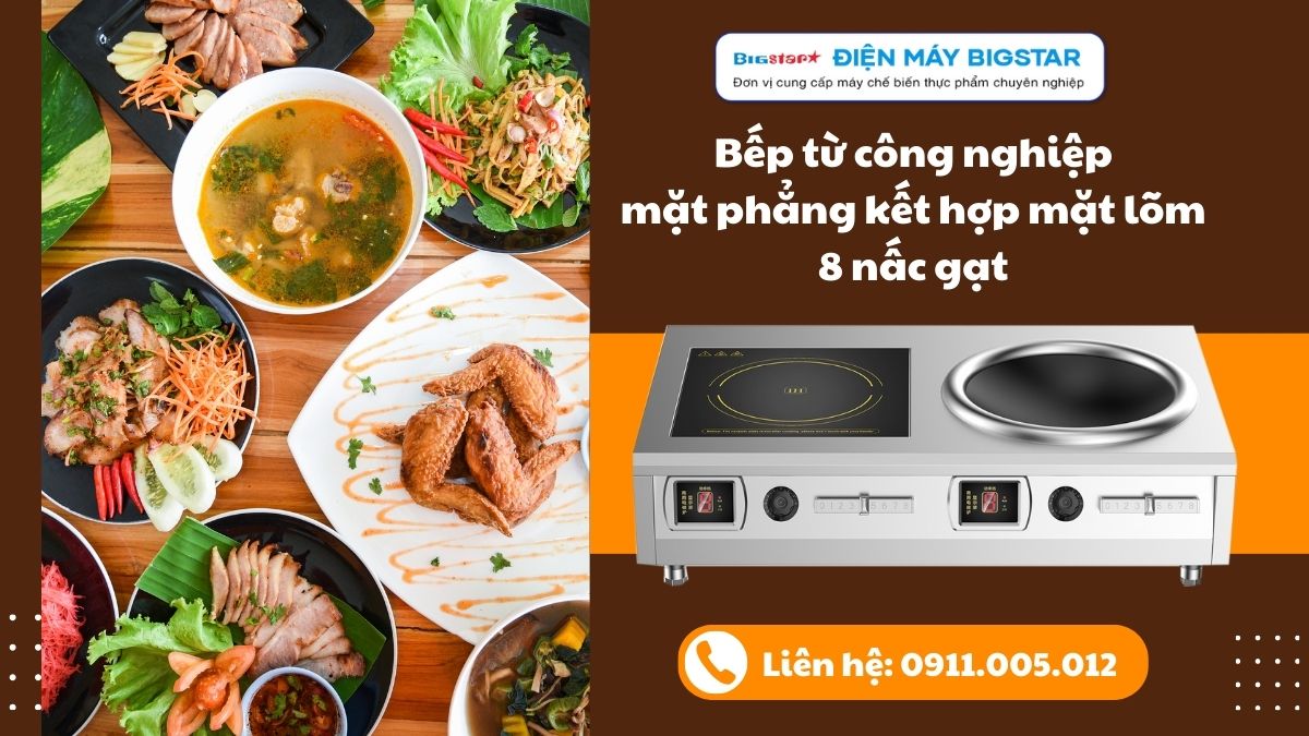 Bếp từ công nghiệp mặt phẳng kết hợp mặt lõm 8 nấc gạt