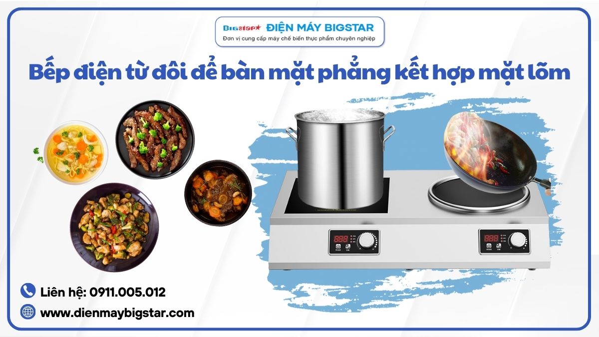 Bếp điện từ đôi để bàn mặt phẳng kết hợp mặt lõm