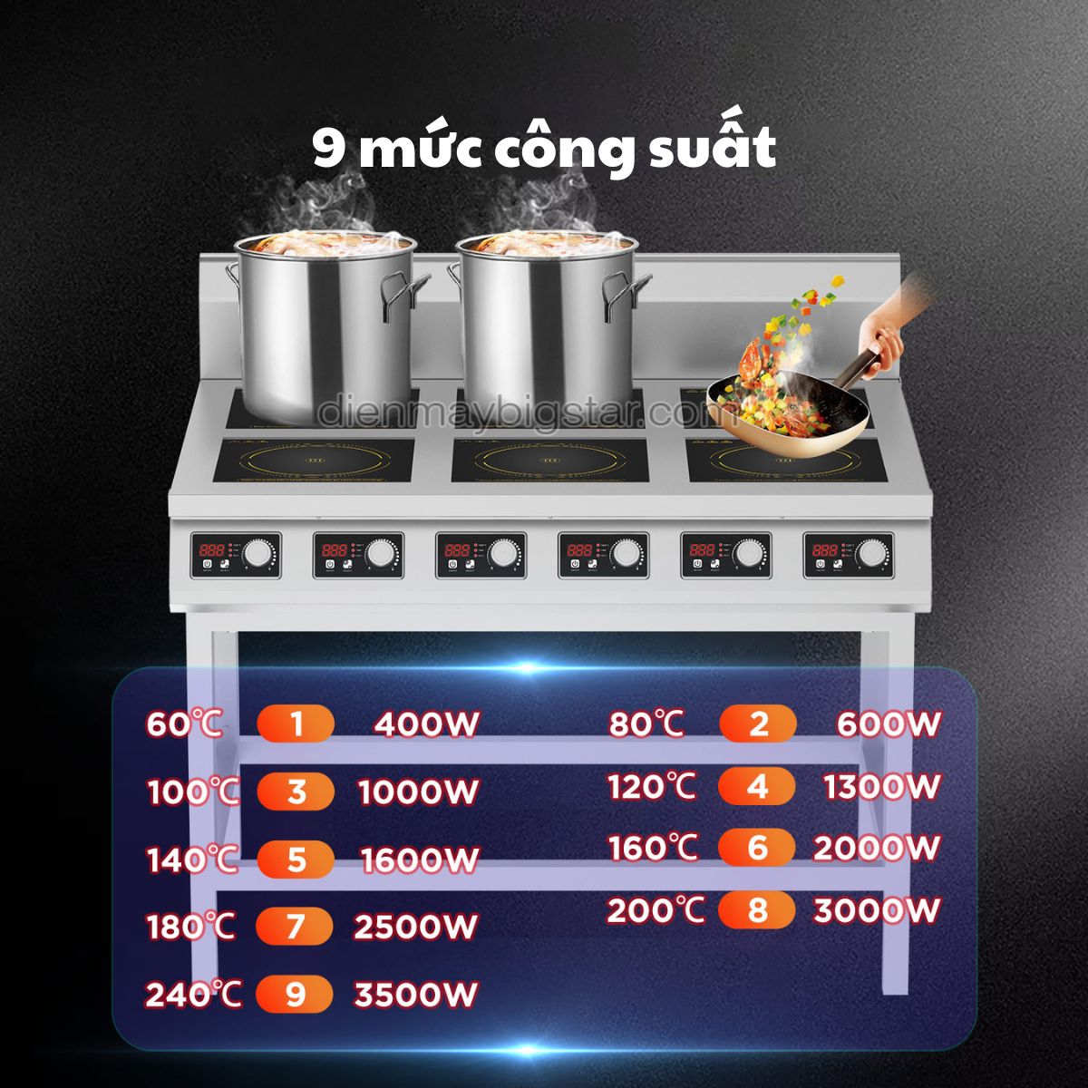 bep dien tu phang 6 hong co chan dung 6x3 5kw ko