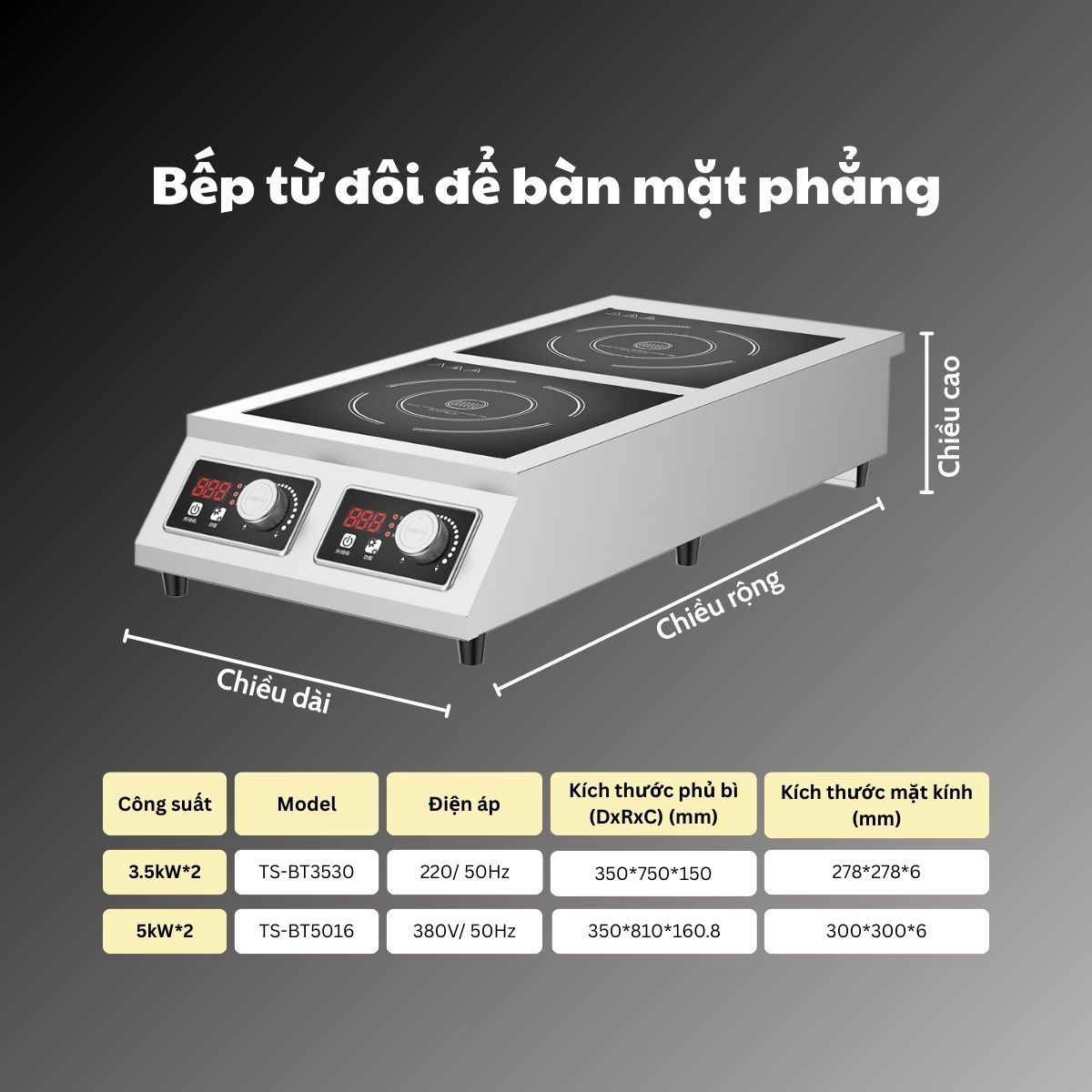 bep tu doi de ban mat phang 2x5kw 9 2 ko